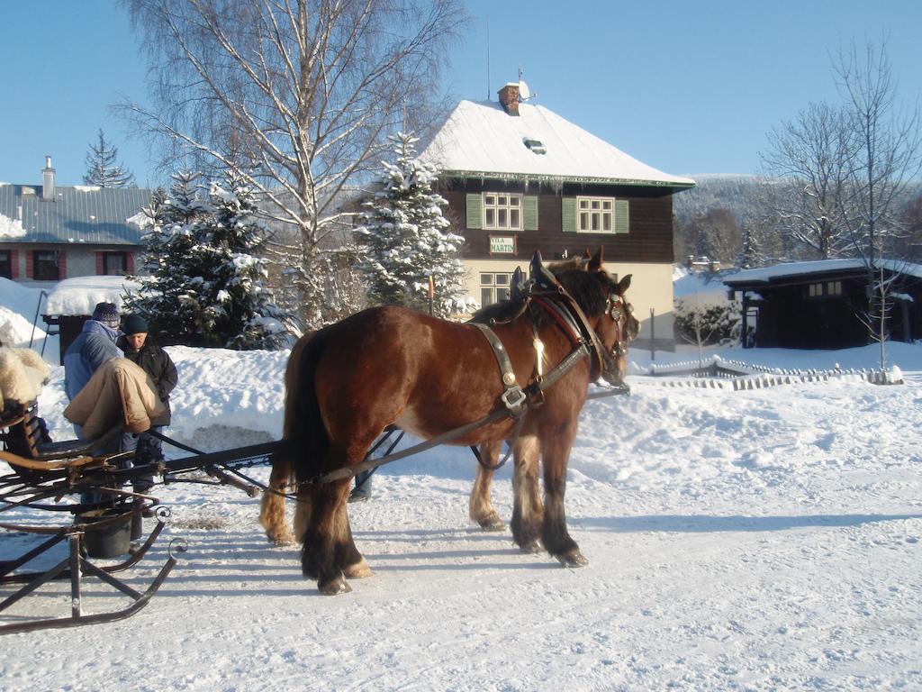 Vila Martin Harrachov Exteriör bild